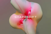Shapeshift: Transformative Abstraction
