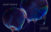 Sentience: Conscious Awareness