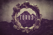 3D Abstract Torus Rings