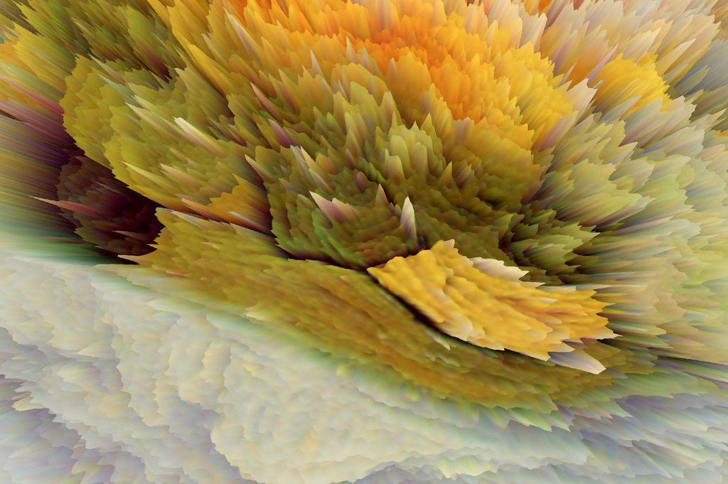 Zoom
