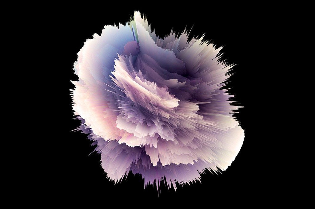 Zoom