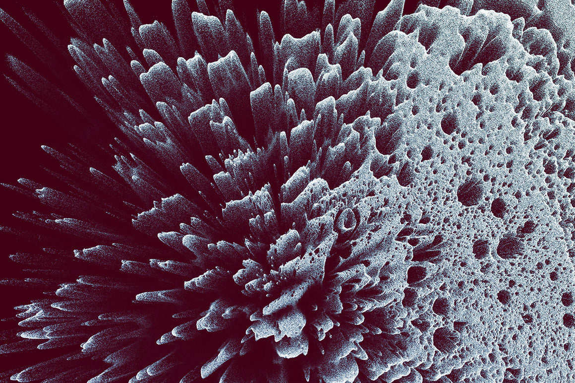 Zoom