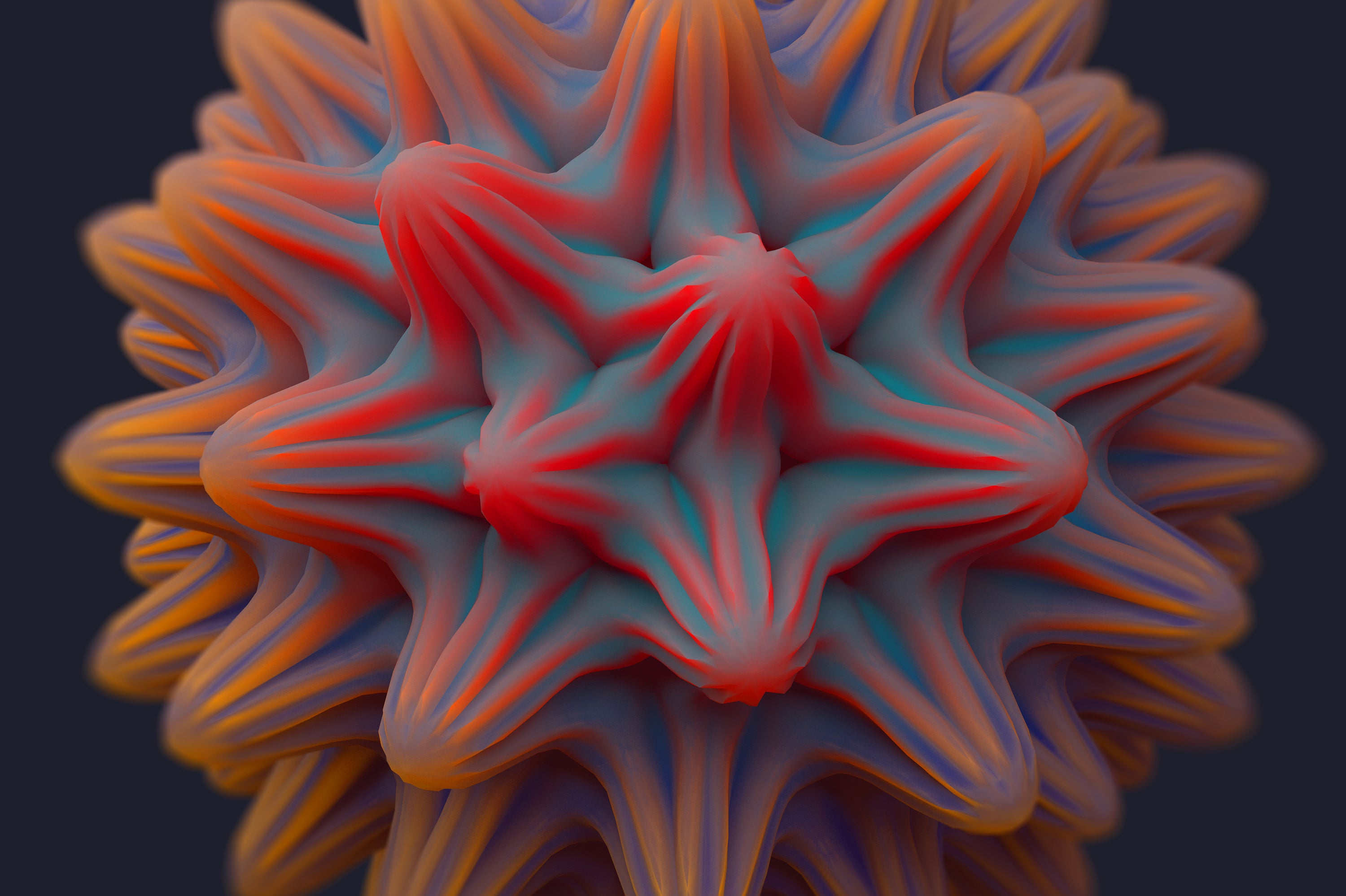 Zoom