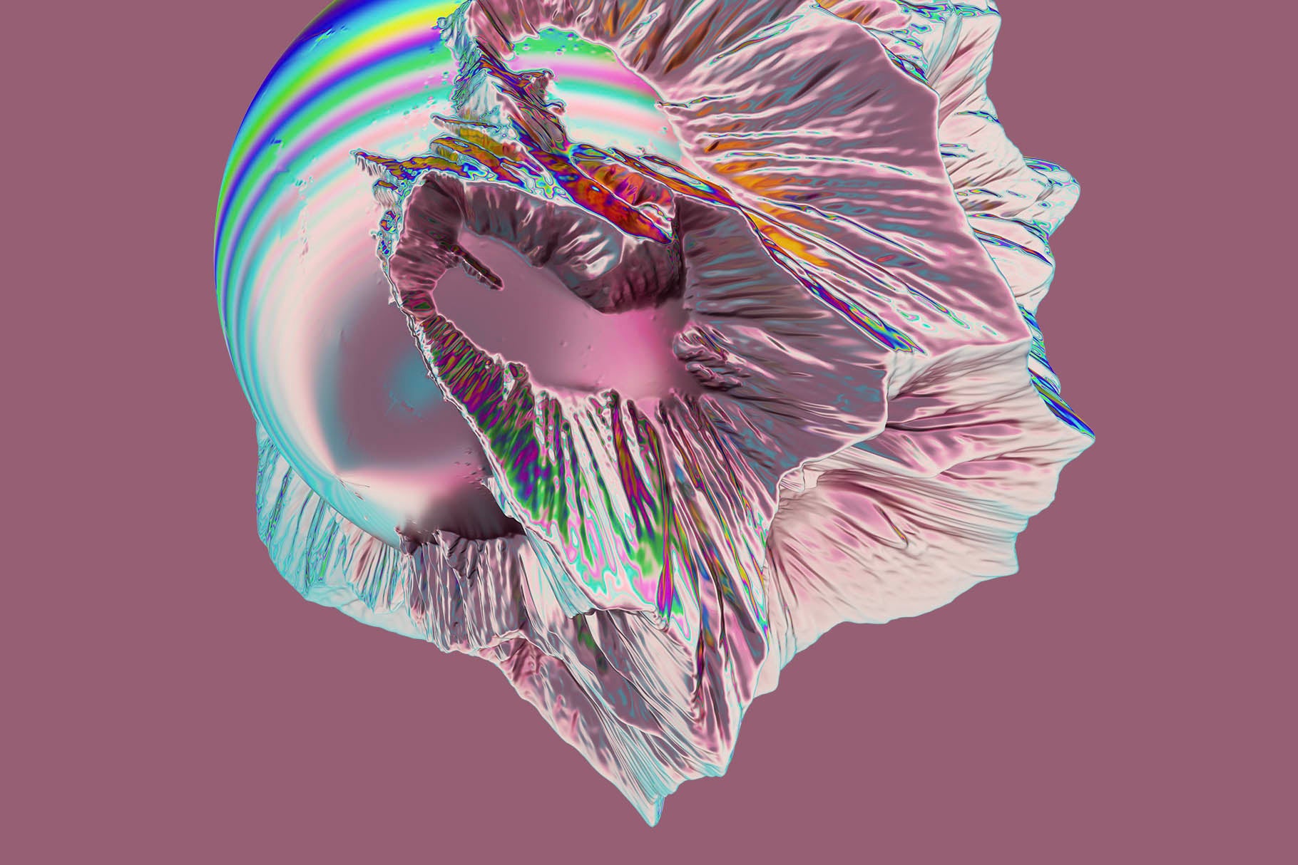 Zoom