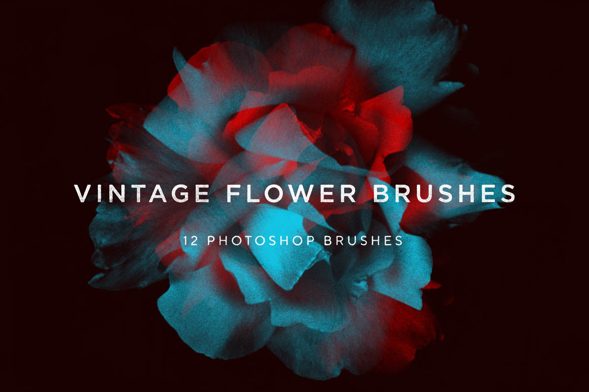 Vintage Flower Brushes RuleByArt