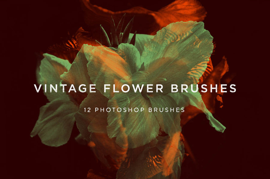 Vintage Flower Photoshop Brushes - Collection - RuleByArt