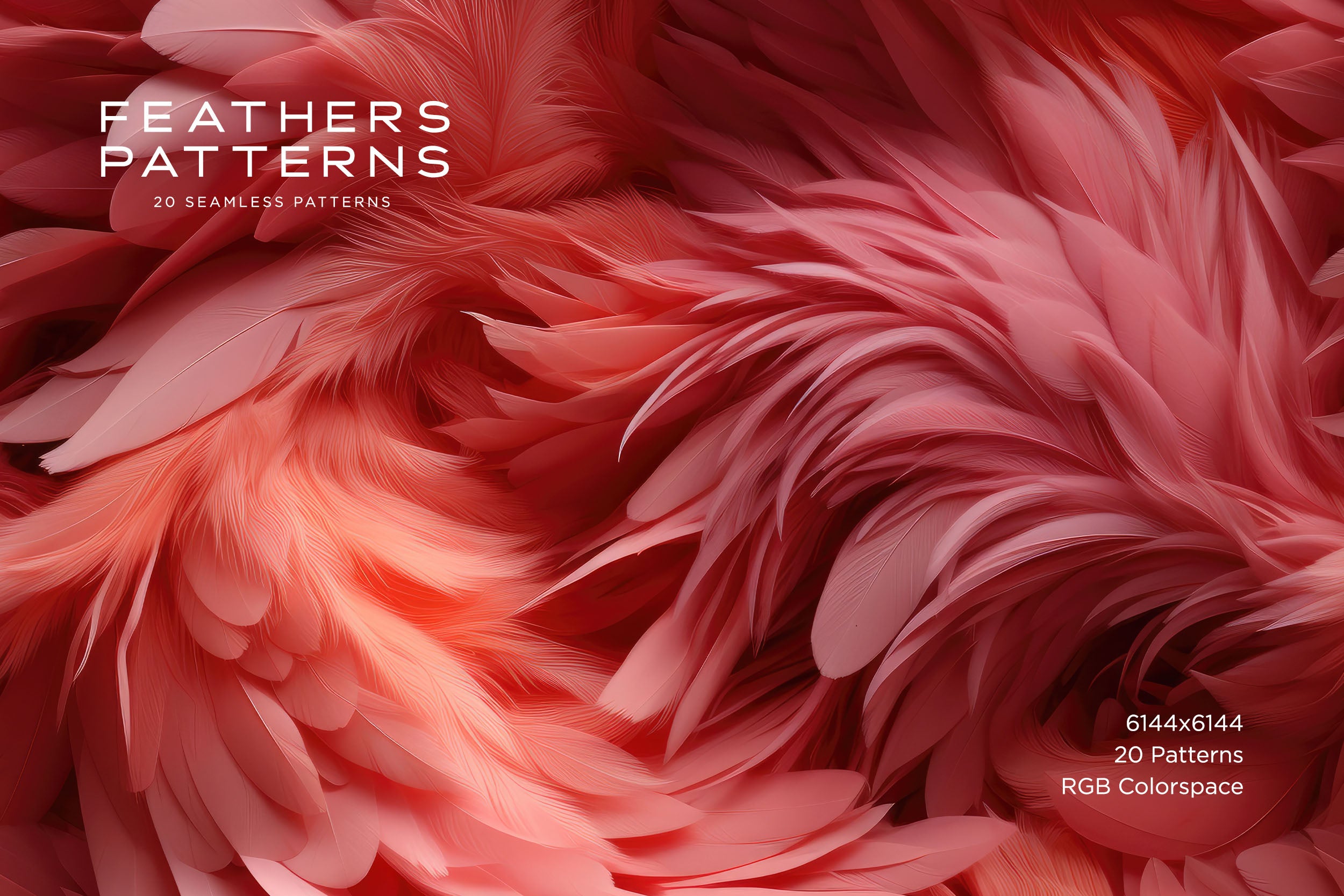 Feather Patterns: Seamless Patterns – RuleByArt