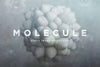 3D Molecule Shapes - Collection - RuleByArt