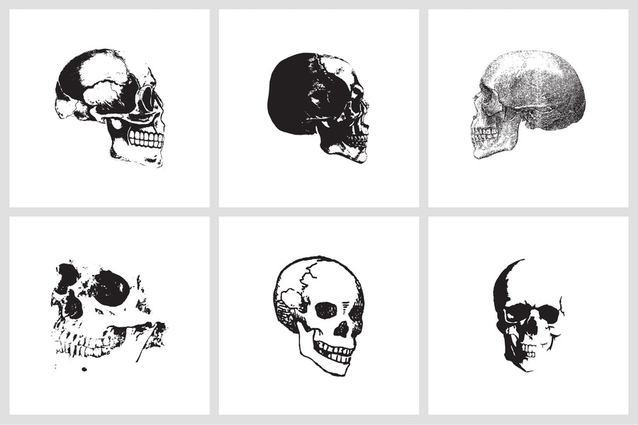 Vintage Skull Vector Illustrations - Collection - RuleByArt