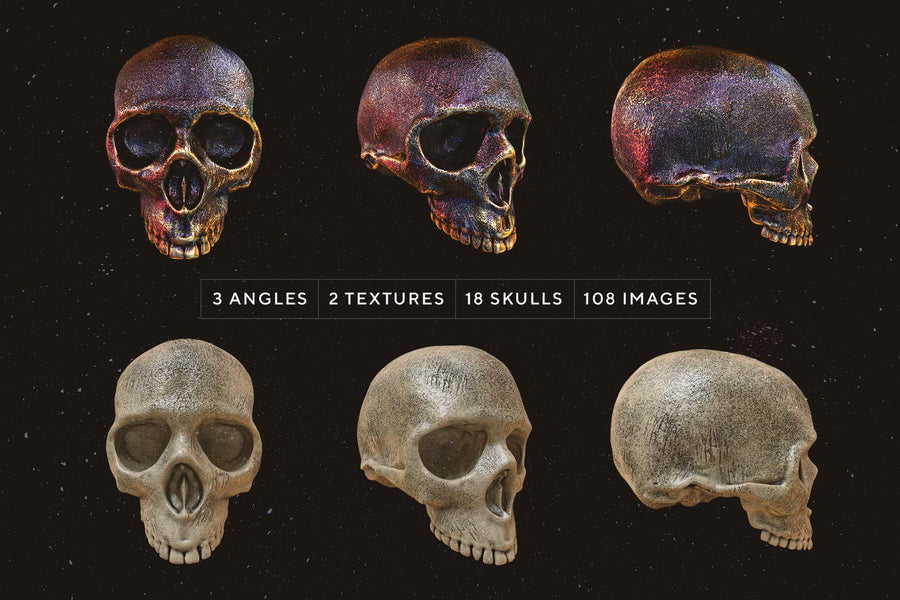Skulls: 108 3D Skull Images