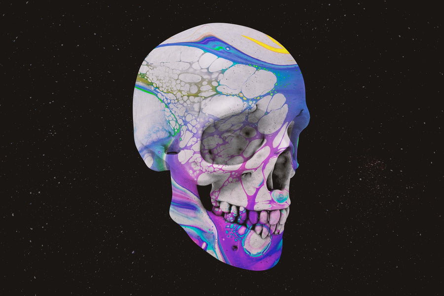 Skulls: 108 3D Skull Images