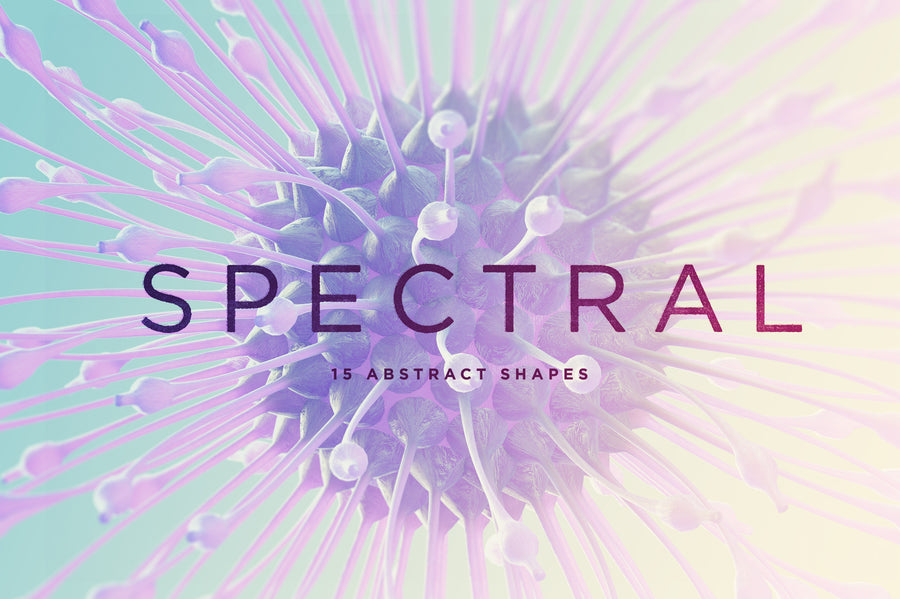 Spectral 3D Shapes - Collection - RuleByArt