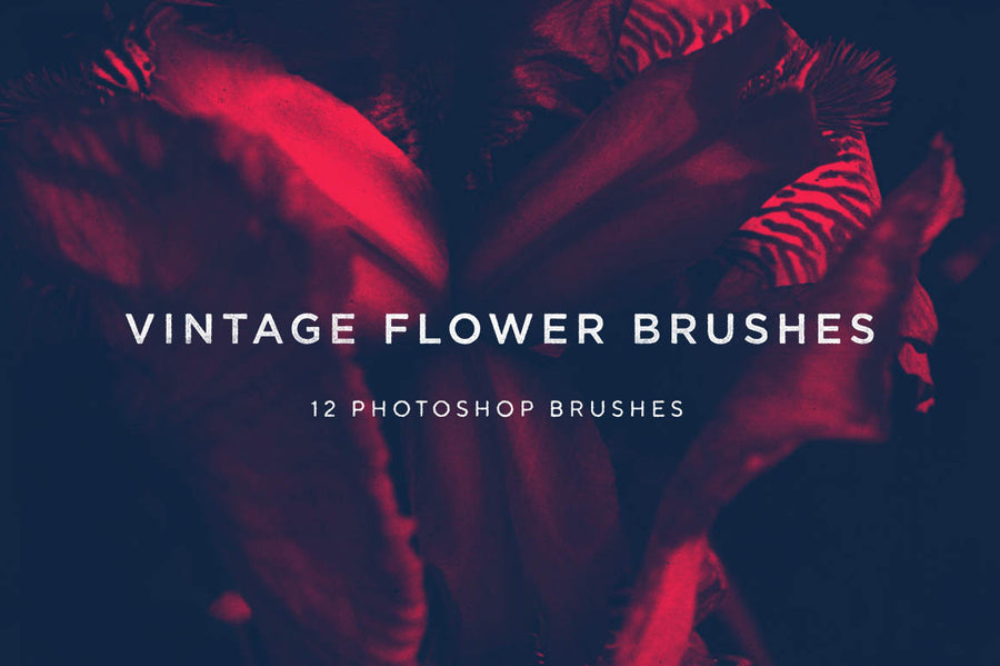 Vintage Flower Photoshop Brushes - Collection - RuleByArt